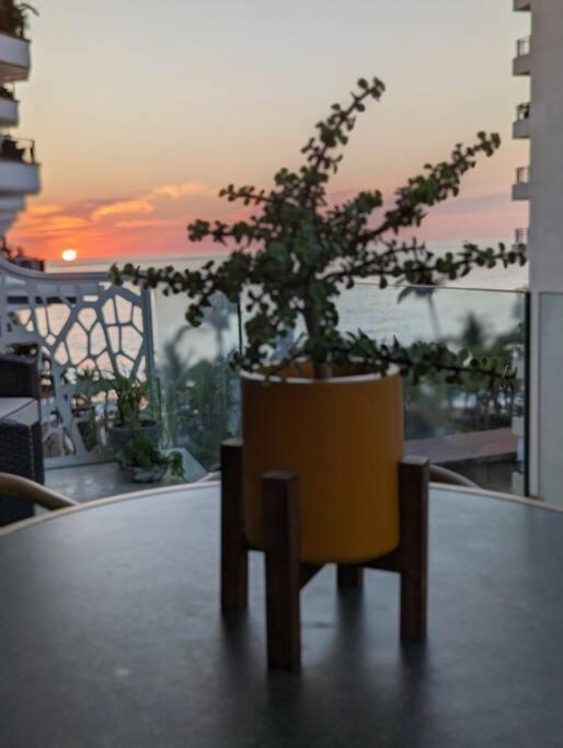 Ocean View Penthouse In P.V. Romantic Zone Puerto Vallarta Buitenkant foto